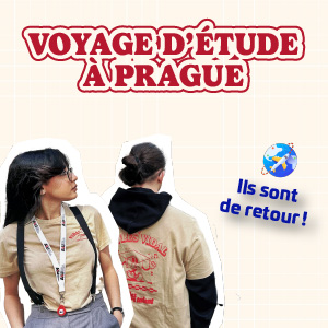 voyage d'étude écoles vidal