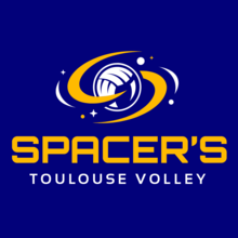 Space's Toulouse Volley Logo